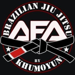 AKKURGAN FIGHT ACADEMY logo