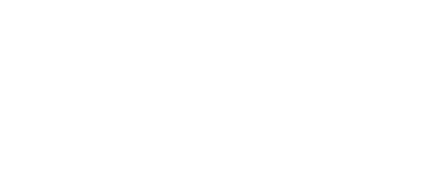 Alex Foley's Academy of Martial Arts (AFAMA) logo