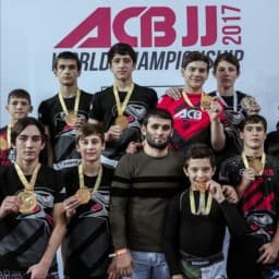 ALIEV TEAM logo