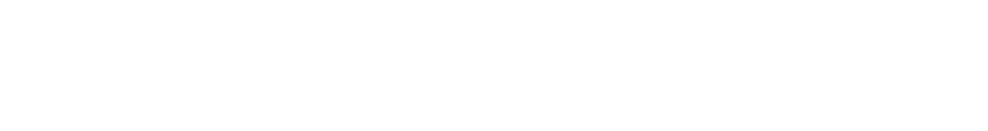 All Style Fighting Zürich logo