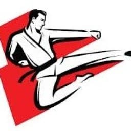 ALLIED KARATE ASSOCIATION PAKISTAN logo