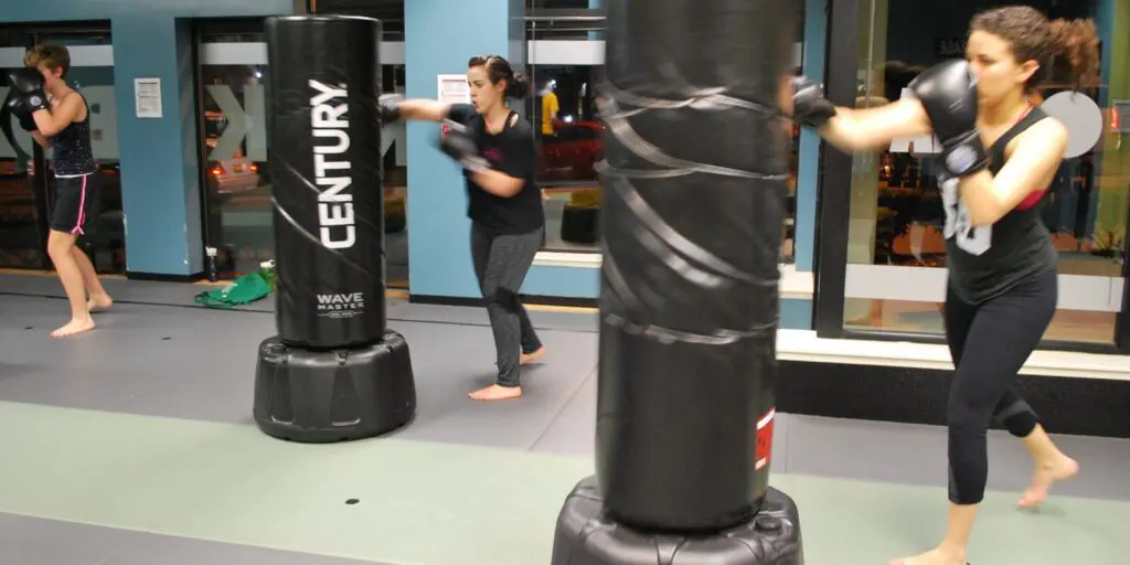 Main image of Alpha Martial Arts