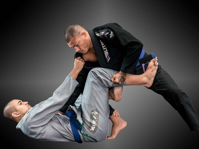 Amazonia Jiujitsu logo
