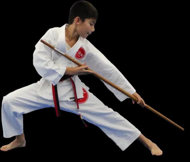 Main image of America's Best Karate