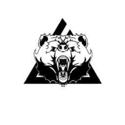 American Killer Bees-Clinton logo