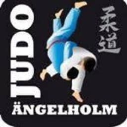 Ängelholms Judoklubb logo
