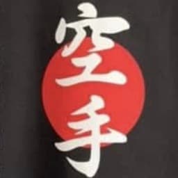 Anshin Karate Centre logo