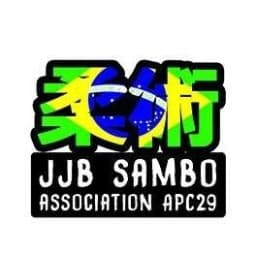 APC29 logo
