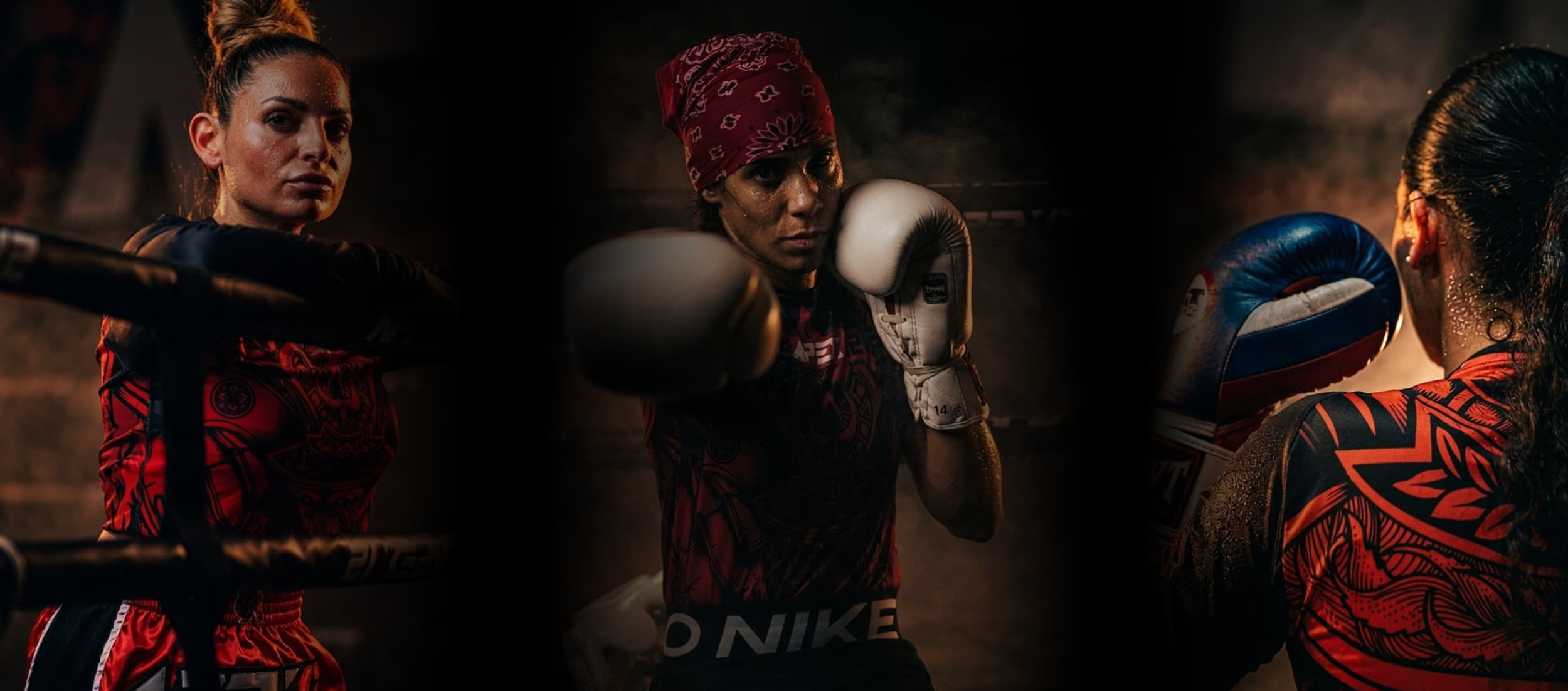 Main image of Apex 12 | Sports Combat & Fitness |