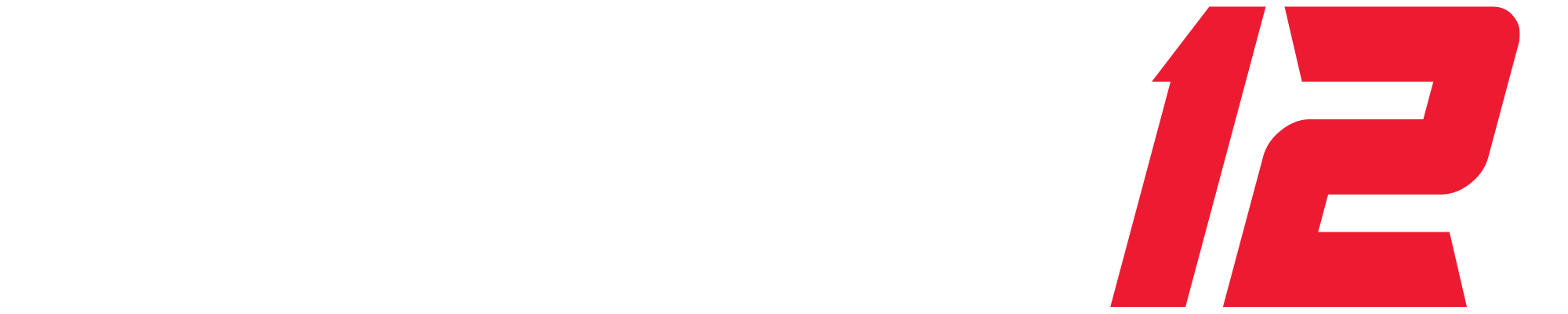 Apex 12 | Sports Combat & Fitness | logo