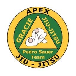 Apex Jiu-Jitsu - Duluth logo