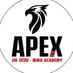 APEX jiu-jitsu italia logo