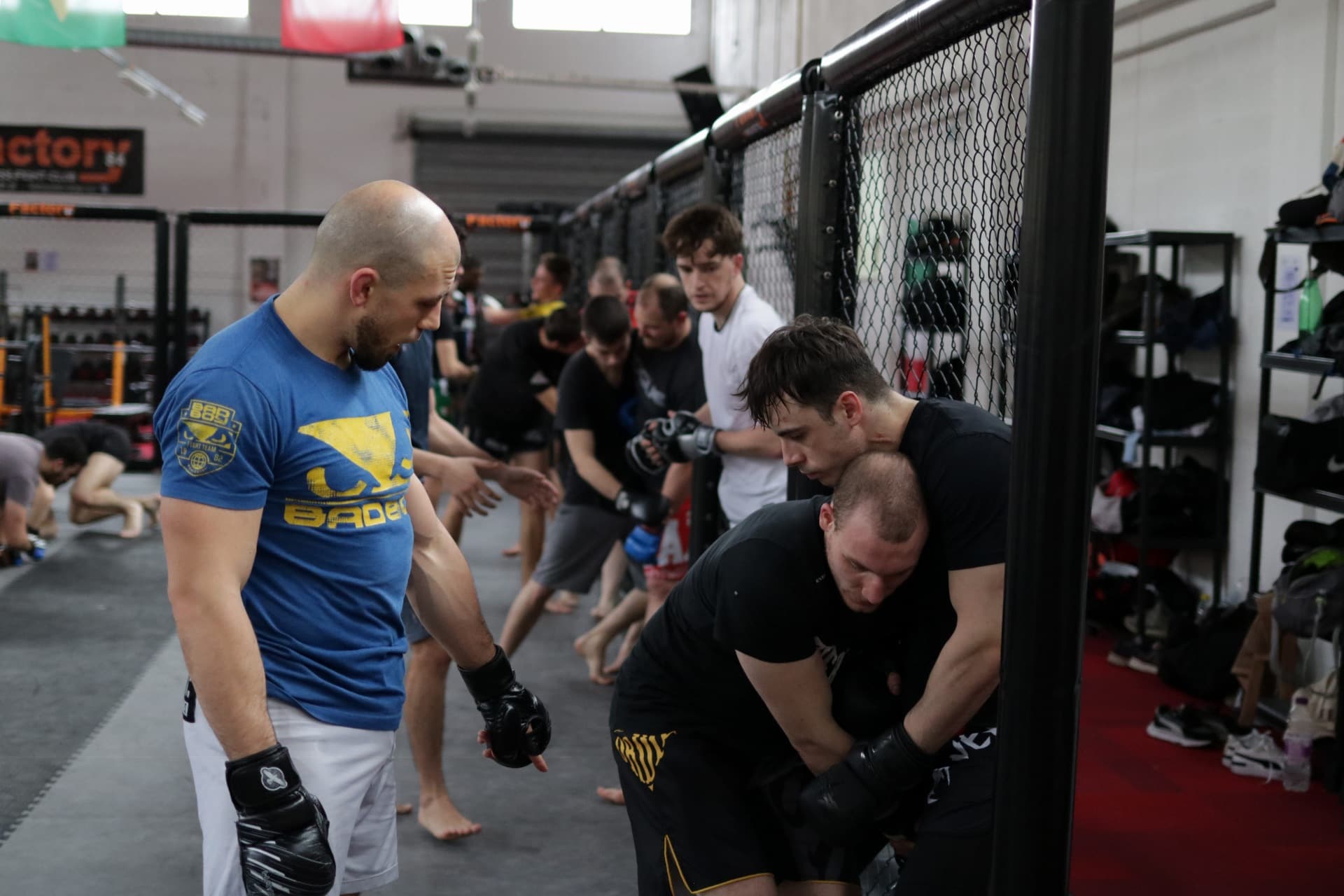 Main image of Apex Mixed Martial Arts