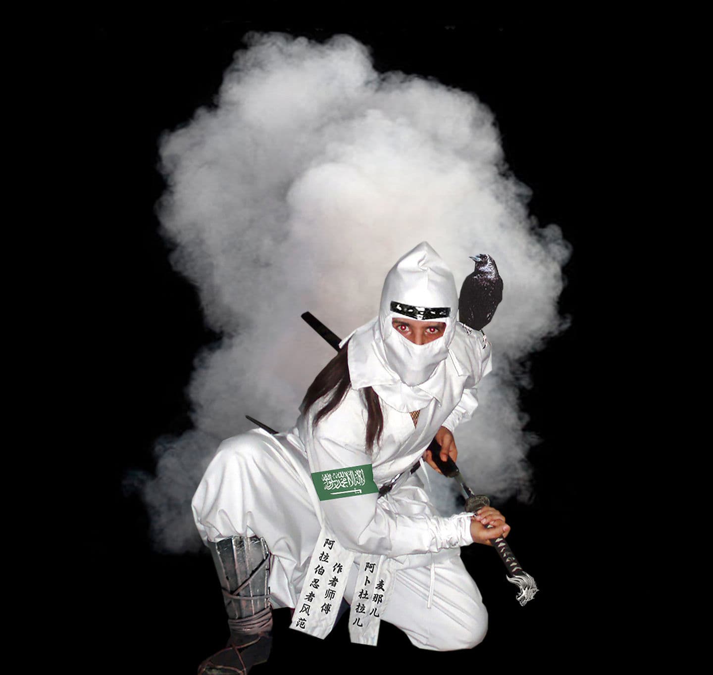 Main image of Arabian Ninja Dojo