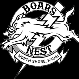 Art of kickboxing Hawaii logo