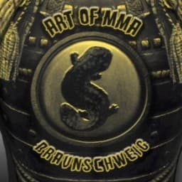 Art of MMA Braunschweig logo