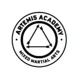 Artemis Academy logo
