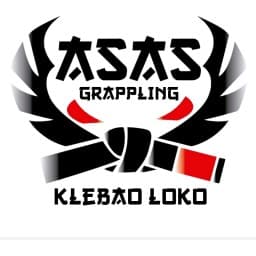 Asas Grappling logo