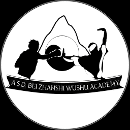 ASD BEI ZHANSHI WUSHU ACADEMY logo