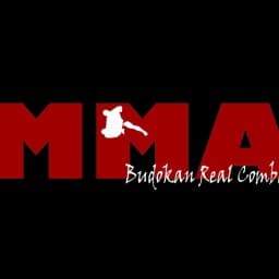 ASD Budokan Real Combat logo