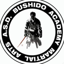 ASD Bushido Academy Martial Arts logo