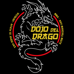 ASD DOJO DEL DRAGO logo