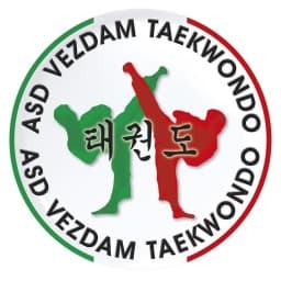 ASD VEZDAM TAEKWONDO logo