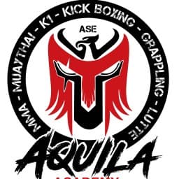 ASE Aquila Academy logo