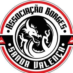 Associação Borges Sanda Valença logo