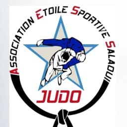 ASSOCIATION ETOILE SPORTIF SALÉ logo