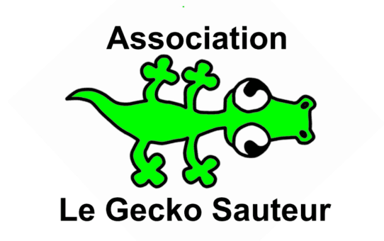 Association Le Gecko Sauteur logo