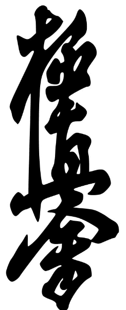 Main image of Association W Fight Strg