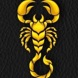 Association zahi sport mers El khir logo