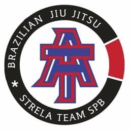 ATEAM logo