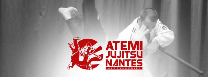 Main image of ATEMI JU-JITSU NANTES