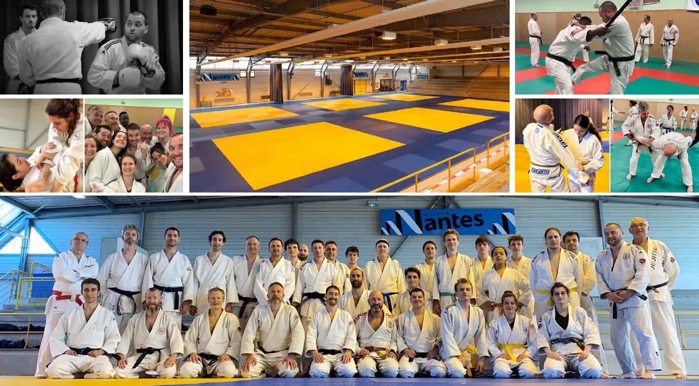 ATEMI JU-JITSU NANTES logo