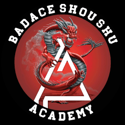 BAD ACE Martial Arts Academy - Moorhead logo