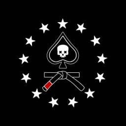Bad Aces Martial Arts logo