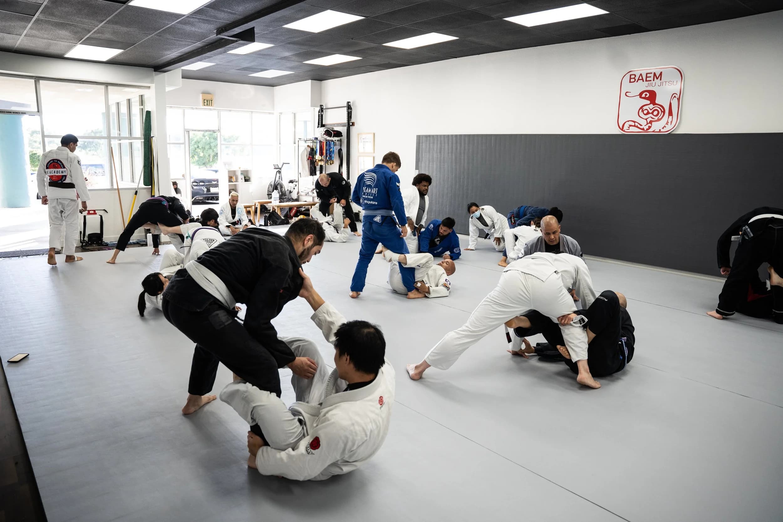 Baem Jiu Jitsu - Fremont logo