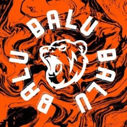 BALU GRAPPLING TEAM logo