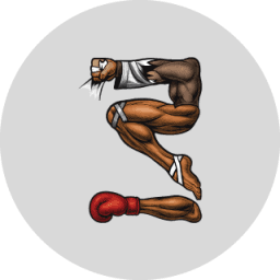 Bankai martial arts logo