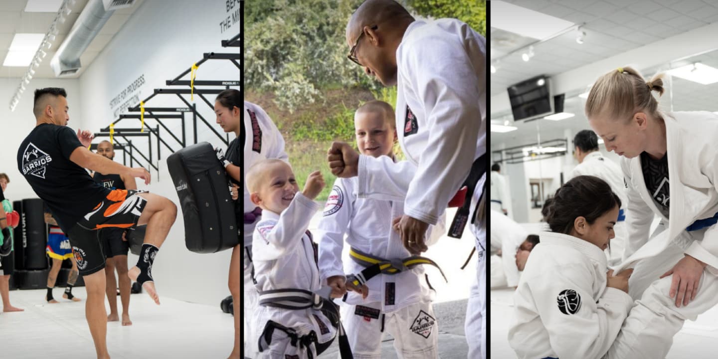 Main image of Barrios Martial Arts