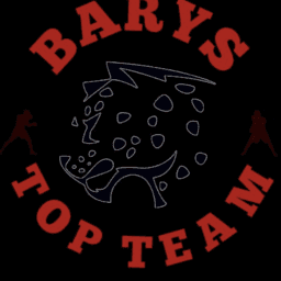 BARYS team logo
