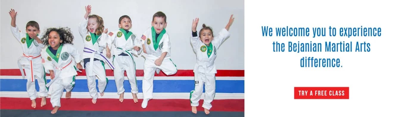 Main image of Bejanian Martial Arts