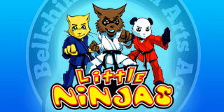 Main image of Bellshill Martial Arts Academy