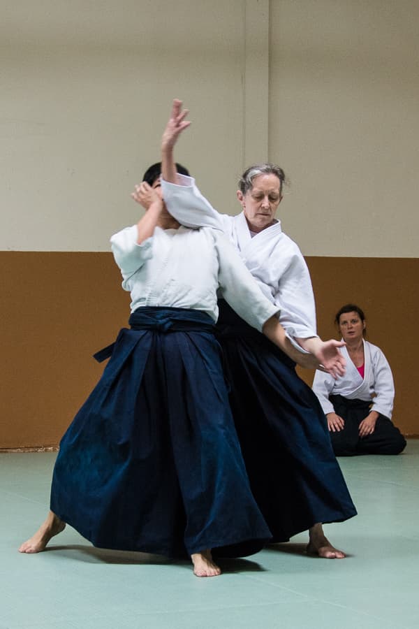 Berkeley Aikikai logo