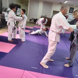 Beth Messiah Dojo logo
