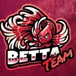BETTA TEAM logo