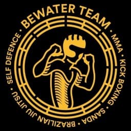 BeWater Martial Arts Team ASD logo