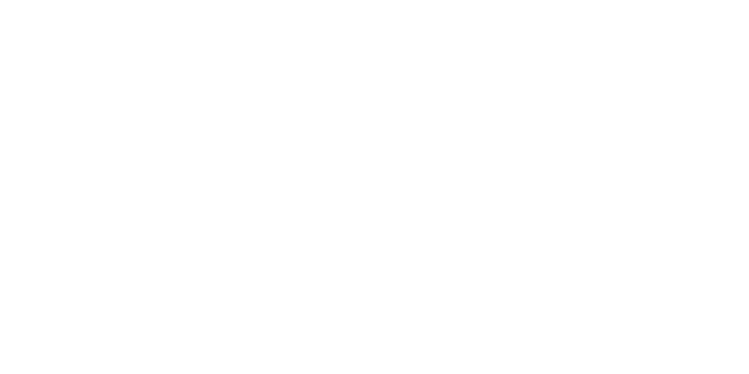 Birmingham Martial Arts - Trussville logo